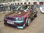 IMGP4310.JPG