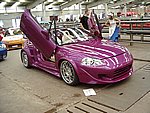 IMGP4376.JPG