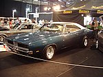 IMGP4500.JPG