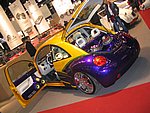 IMG_3795.jpg