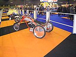 IMG_3831.jpg