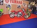 IMG_3846.jpg