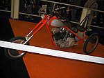IMG_3849.jpg
