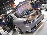 IMG_3909.jpg