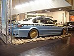 IMGP6101.JPG