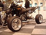 IMGP6233.JPG